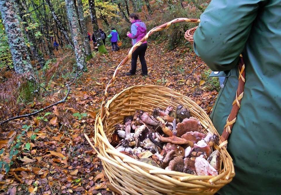 Апартаменти A Casoa II Санта-Еулалія-де-Оскос Екстер'єр фото